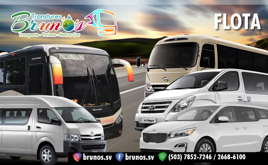 Nuestra Flota - Transtures Brunos